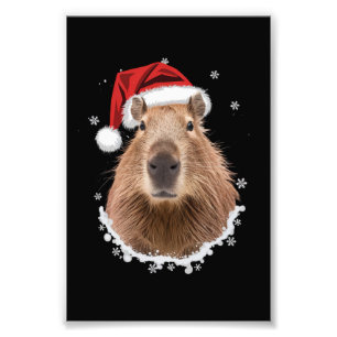Foto Capybara Funny Christmas