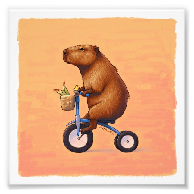 Foto Capyberrands (Frente)