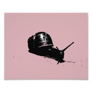 Foto Caracol cor-de-rosa