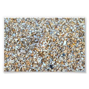 Foto Caranguejo Fantasma Camouflaged em uma praia de Ka