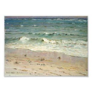 Foto Caranguejos na praia por D. Howard Hitchcock