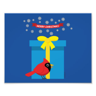 Foto Cardeal Vermelho Cinto Com Presente Azul