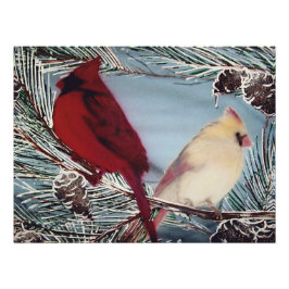 Foto Cardinais Empoleirados