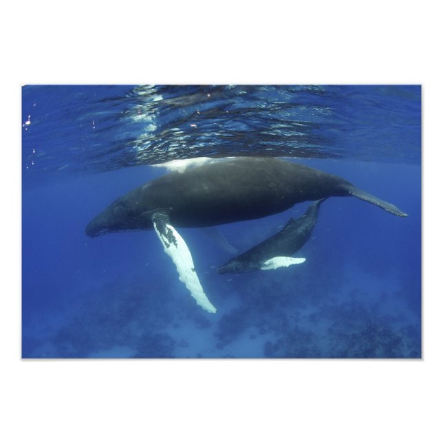 Foto Caribe, arquipélago das maiores Antilhas, (Frente)