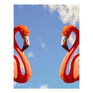Foto Caribe par flamingo