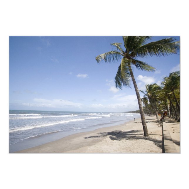 Foto Caribe - Trinidad - Praia Manzanilla em 2 (Frente)