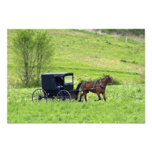 Foto Carroça e cavalo Amish perto de Berlim, Ohio.