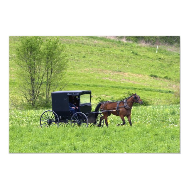Foto Carroça e cavalo Amish perto de Berlim, Ohio. (Frente)