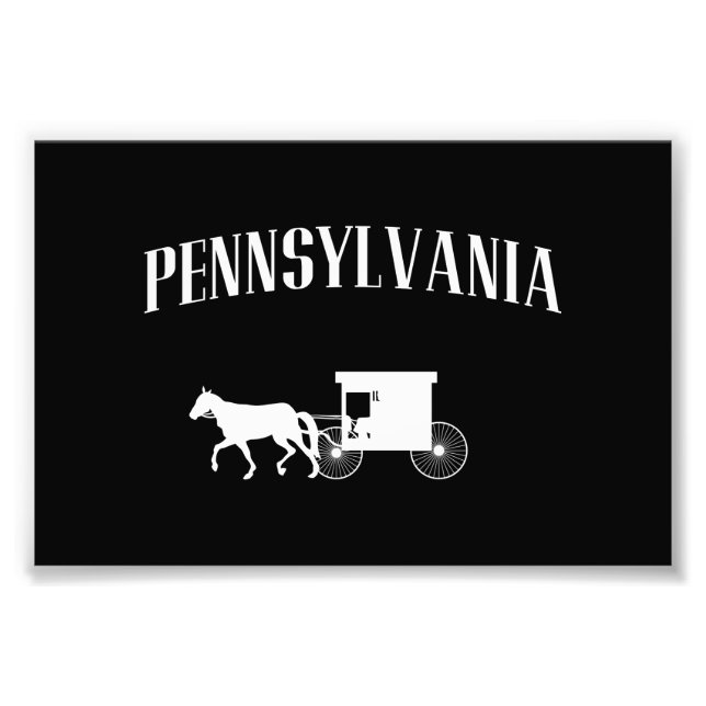 Foto Carruagem Amish da Pensilvânia (Frente)