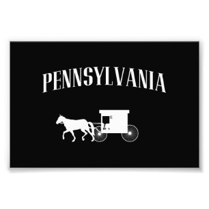 Foto Carruagem de Pensilvânia Amish
