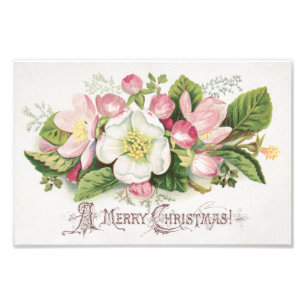 Foto Cartão de Natal Vintage Retro, Flores de Maçã
