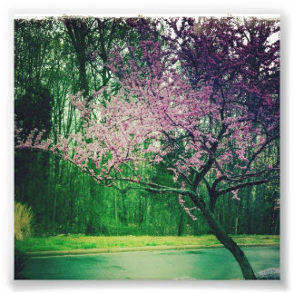 Foto cartão de saudação