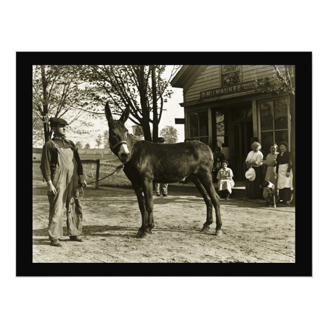 Foto Cartão postal Milwaukee Mule e Farmer Vintage (Frente)