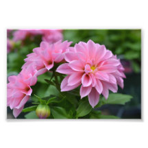 Cartão postal para ela