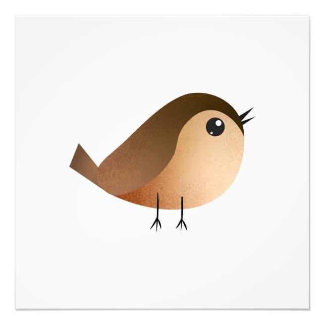 Foto Cartografia de Pássaro Sparrow (Frente)