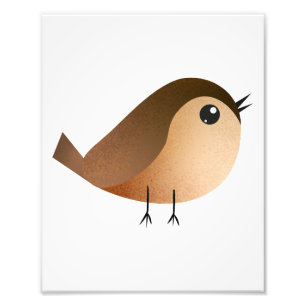 Foto Cartografia de Pássaro Sparrow