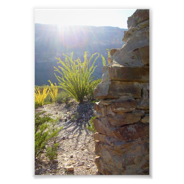 Foto Casa de adobe arruinada, Parque Nacional Big Bend, (Frente)