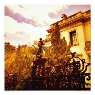 Foto Casa de Armstrong, savana