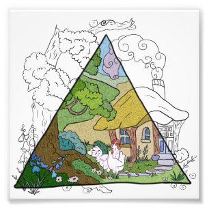 Foto Casa de galinha