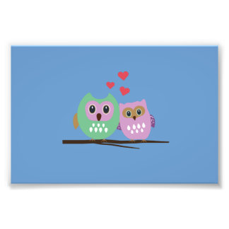 Foto Casal de coruja