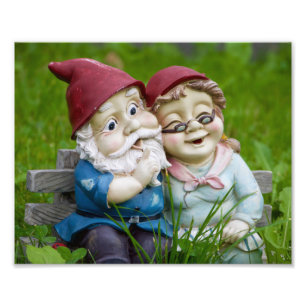 Foto Casal dos gnomos do jardim