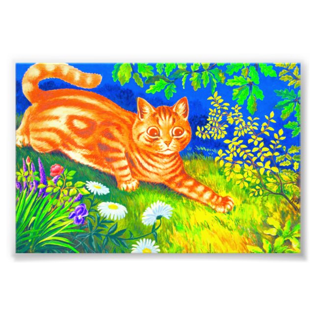 Foto Cat Noite (Frente)