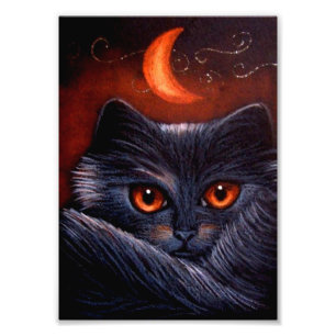 FOTO CAT PRETO DA FANTASIA DO DIA DAS BRUXAS &