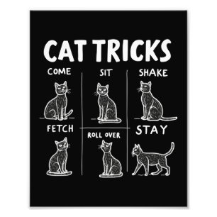 Foto Cat Truks Purr-Fectly Hilarious Feline Fun
