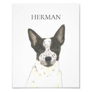 Foto Cattledog personalizado, preto e branco