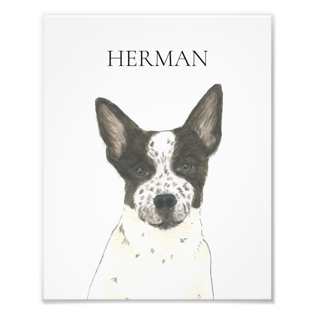 Foto Cattledog personalizado, preto e branco (Frente)