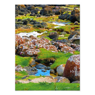 Foto Causa do Gigante- Vista 2