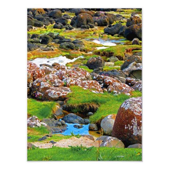 Foto Causa do Gigante- Vista 2 (Frente)