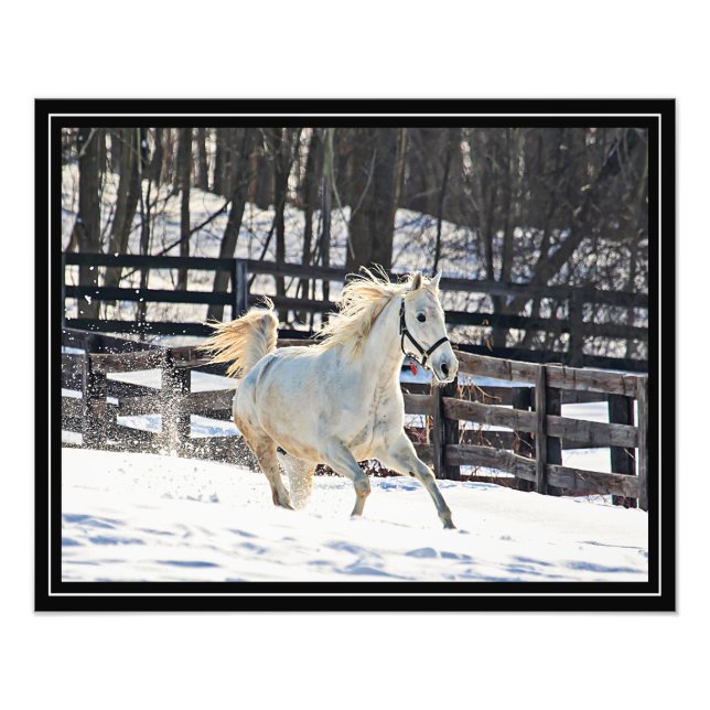 Foto Cavalo branco de galope (Frente)