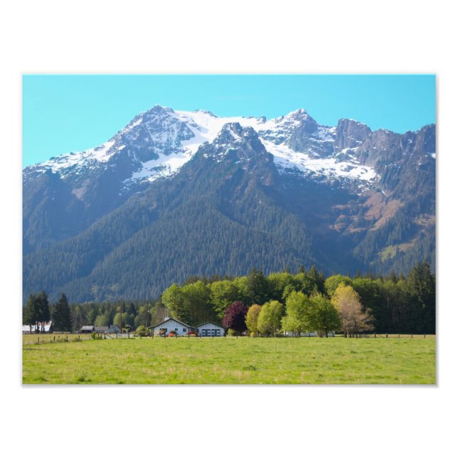 Foto Cavalo Branco Montanha em Primavera Impressão (Frente)