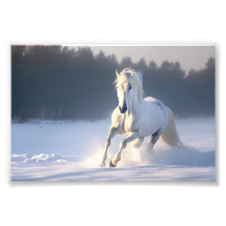 Foto Cavalo Branco na neve, cavalos, inverno