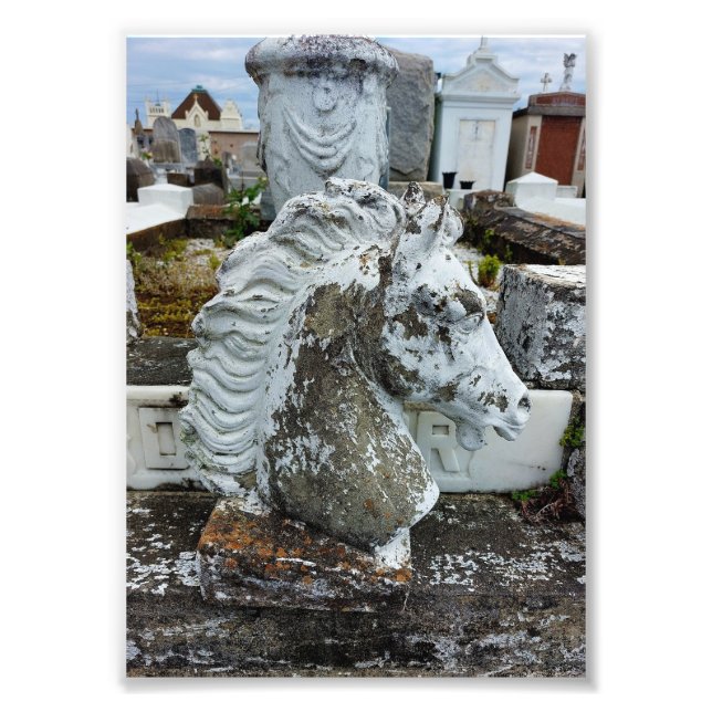 Foto Cavalo de luto (Frente)