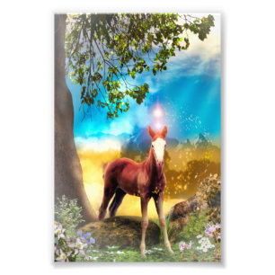 Foto Cavalo do Febre no Paraíso