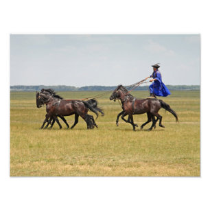 Foto Cavalo e cavalos da Hungria