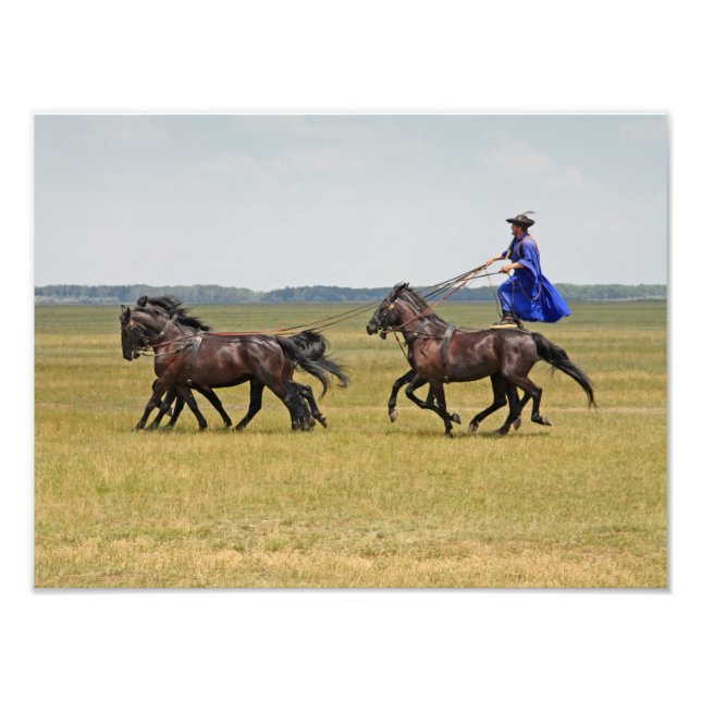 Foto Cavalo e cavalos da Hungria (Frente)