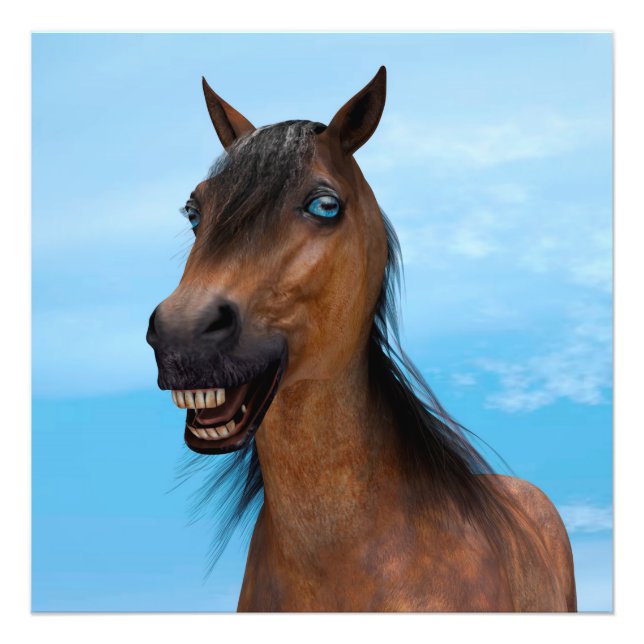 Foto Cavalo Feliz (Frente)