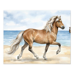 Foto Cavalo islandês Fjara aquarela na praia