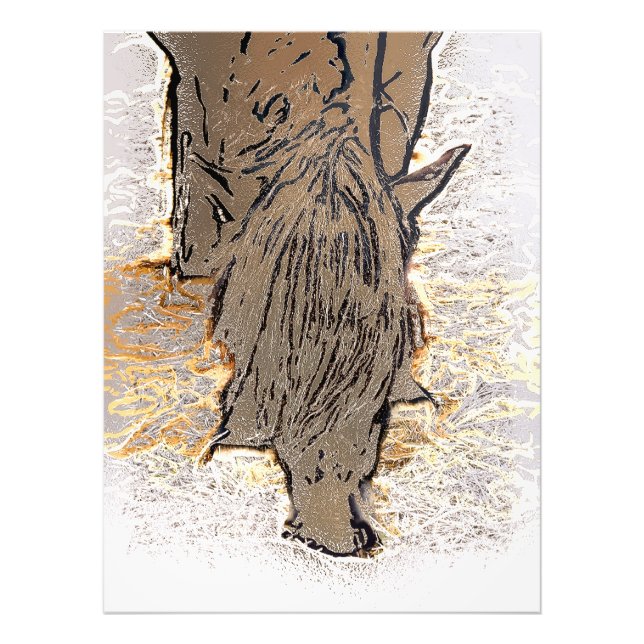 FOTO CAVALO MARAVILHOSO (Frente)