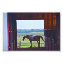 Cavalo num Stable, Missouri
