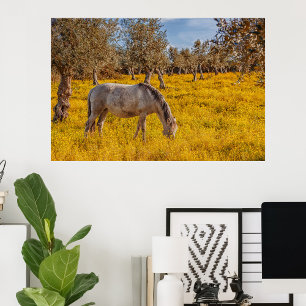Foto Cavalo pastoreando num campo de flores amarelas