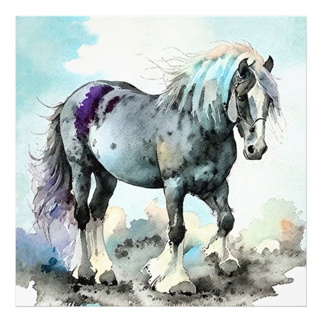 Foto Cavalo Shire Paciente Aquarela (Frente)