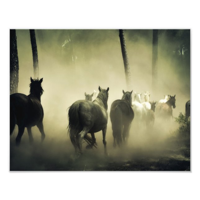 Foto Cavalos Selvagens (Frente)