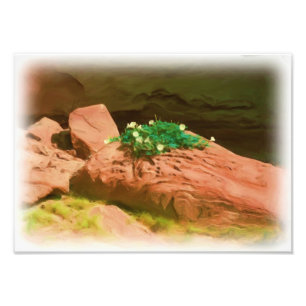 Foto Caverna do estramónio