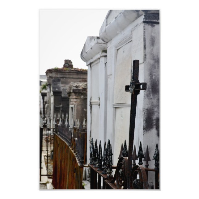 Foto Celebrar a vida (Frente)