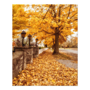 Foto Cena de Autumn Folhas Amarelas