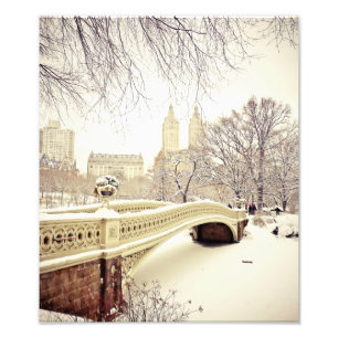 Foto Central Park Snow - Winter New York